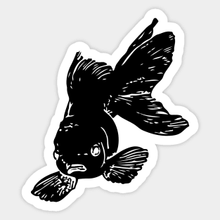 Sea Animal, Black, Tail, Fin, Minimal, Closeup, Detail, Dark, Marine Life, Swimming, Swim, Sea Creature, Wildlife, Carp Sticker